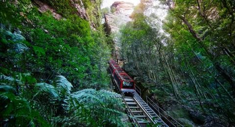 synexr | The Greater Blue Mountains Drive: An ultimate road trip on The Greater Blue Mountains Drive.