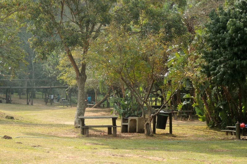 synexr | Paradise Picnic Reserve: Picnic and Recreation Area