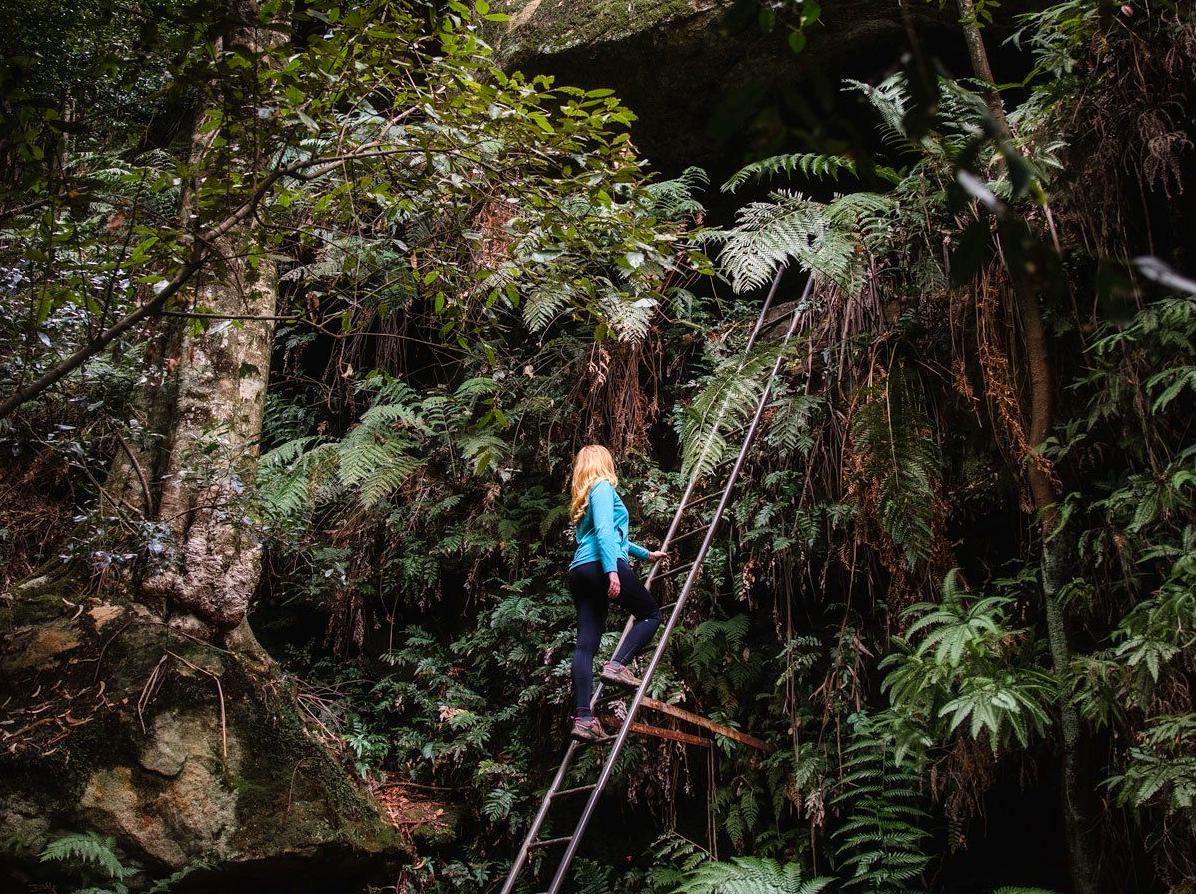 synexr | Coxs Cave: The geological wonders of Coxs Cave.