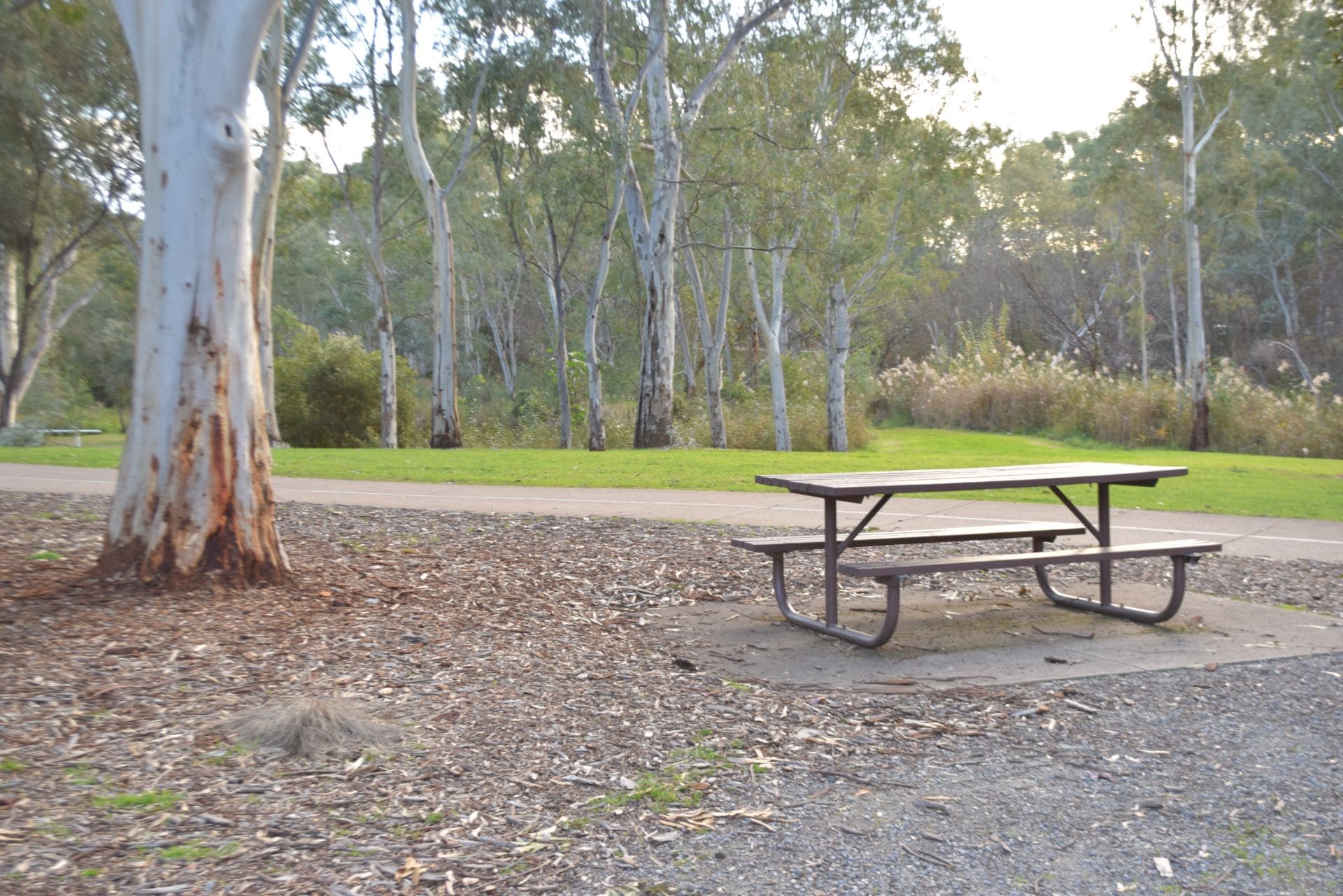 synexr | Paradise Picnic Reserve: Picnic and Recreation Area