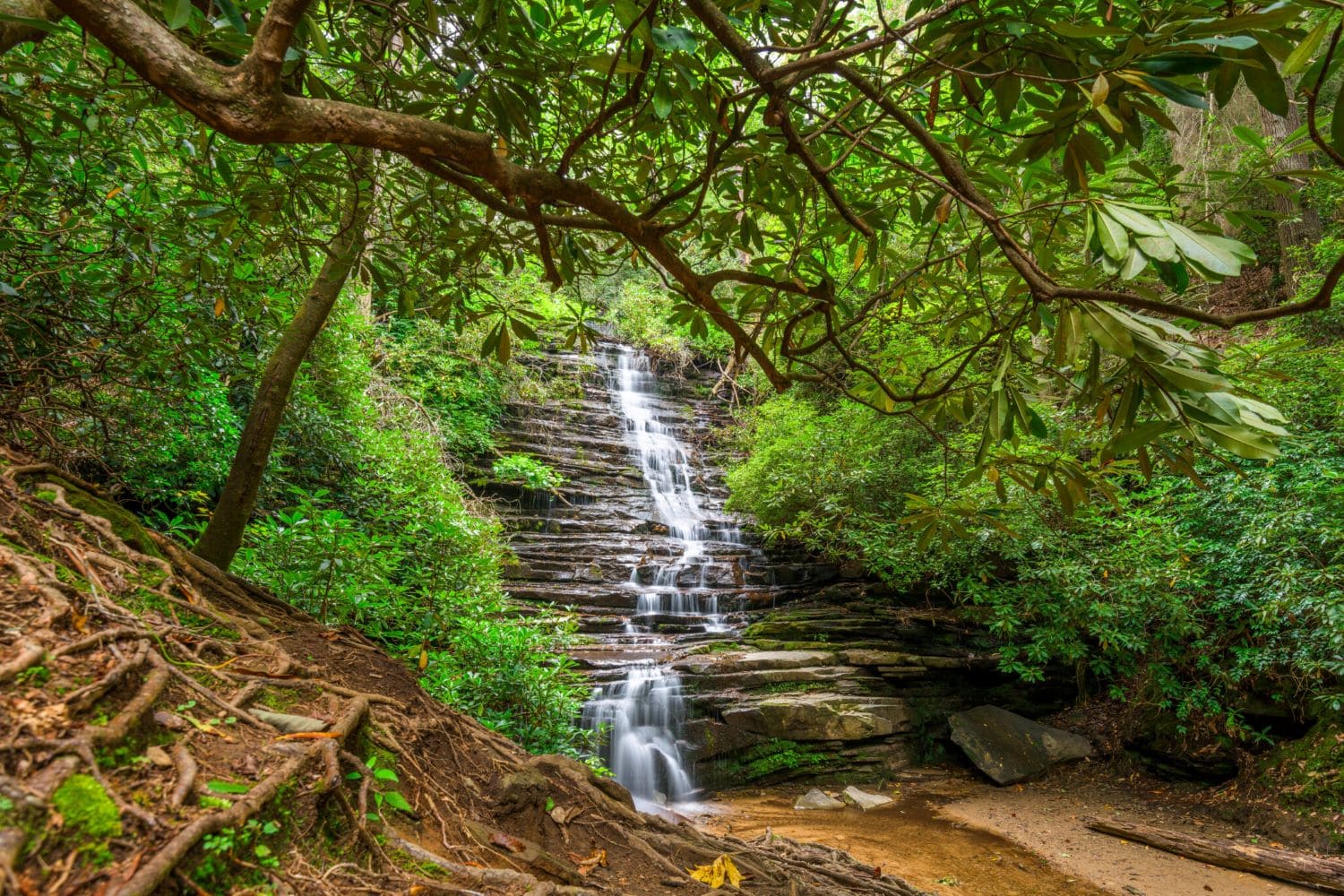 synexr | Minnehaha Falls: A guide to hiking to Minnehaha Falls.